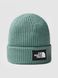 Шапка THE NORTH FACE ( NF0A3FJW ) SALTY DOG BEANIE 2024 1