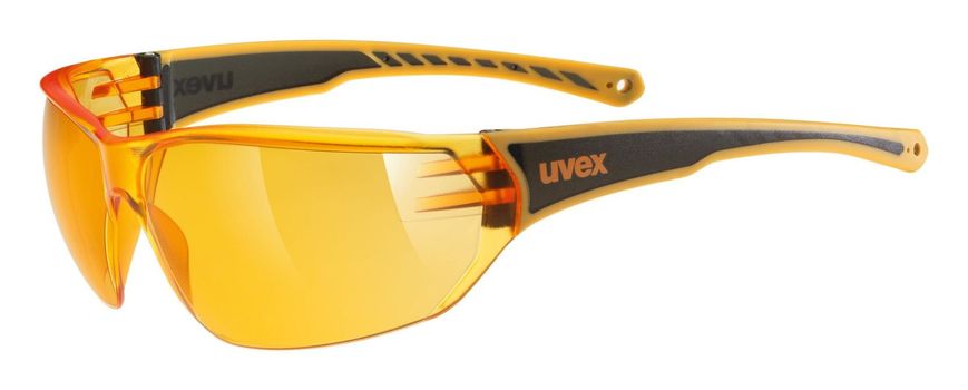купити Сонцезахисні окуляри UVEX sportstyle 204 2021 4