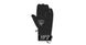 Горнолыжные перчатки ROSSIGNOL ( RLHMG29 ) WC MASTER IMPR G 2019 200 XL (3607682628651)