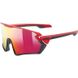 Солнцезащитные очки UVEX sportstyle 231 2023 1