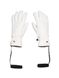 Горнолыжные перчатки Goldbergh ( GBV8210224 ) Nishi Gloves 2023