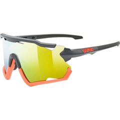 Солнцезащитные очки UVEX sportstyle 228 2023 1