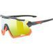 купити Сонцезахисні окуляри UVEX sportstyle 228 2023 1