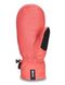 Сноубордичні рукавиці DAKINE ( 10001404 ) FILLMORE MITT 2020