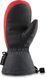 купити Сноубордичні рукавиці DAKINE ( 10003128 ) AVENGER GORE-TEX MITT 2021 2