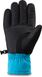 Гірськолижні рукавички DAKINE ( 10003529 ) BRONCO GORE-TEX GLOVE 2022
