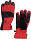 Гірськолижні рукавички Spyder ( 38197012 ) B. A. GTX 2021