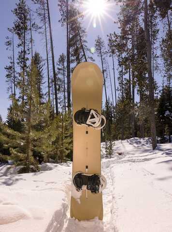 BURTON FAMILY TREE 3D DAILY DRIVER CAMBER