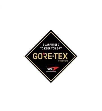 Горнолыжные перчатки DAKINE ( 10002009 ) GORE-TEX CONTINENTAL GLOVE 2019