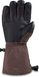 Гірськолижні рукавички DAKINE ( 10003551 ) WOMEN'S PHOENIX GORE-TEX GLOVE 2022