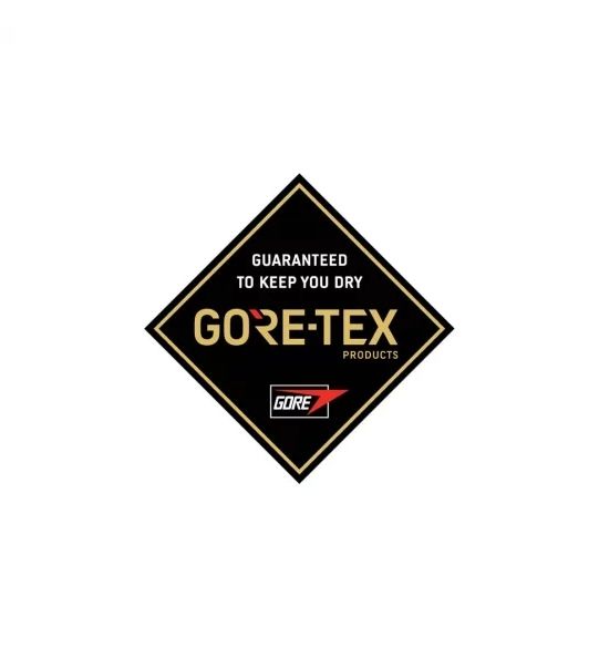 Гірськолижні рукавички DAKINE ( 10002009 ) GORE-TEX CONTINENTAL GLOVE 2019
