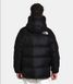 купити Зимняя куртка для туризма THE NORTH FACE ( NF0A4QYX ) Hmlyn Down Parka 2024 2
