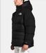 купити Зимняя куртка для туризма THE NORTH FACE ( NF0A4QYX ) Hmlyn Down Parka 2024 3
